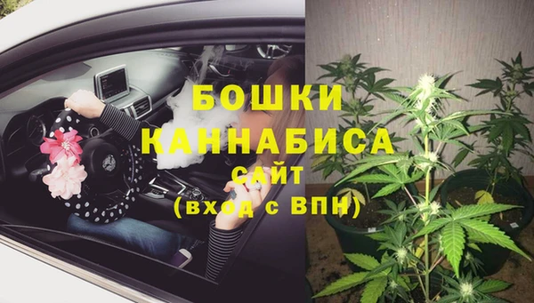 сатива Абинск