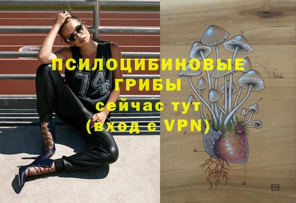 сатива Абинск