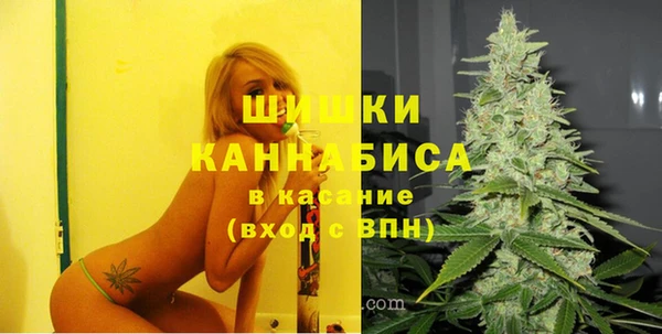 сатива Абинск