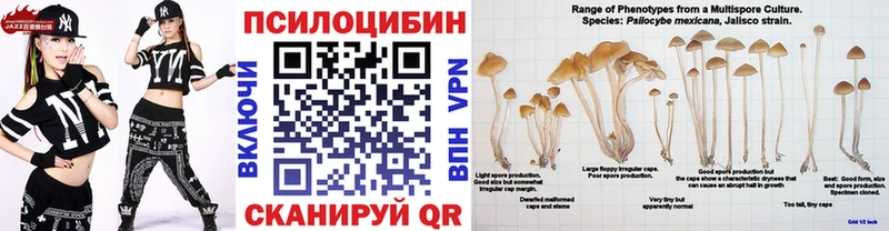 ссылка на мегу ТОР  что такое   Черногорск  Псилоцибиновые грибы мицелий 