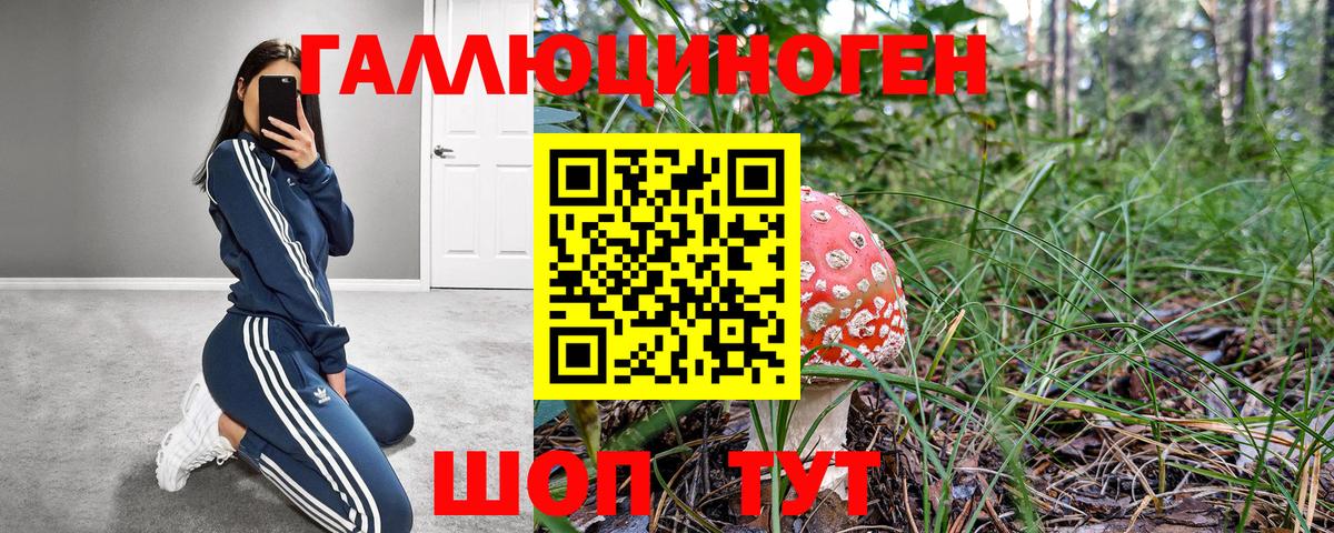 Галлюциногенные грибы мицелий  Вход с VPN  Черногорск 